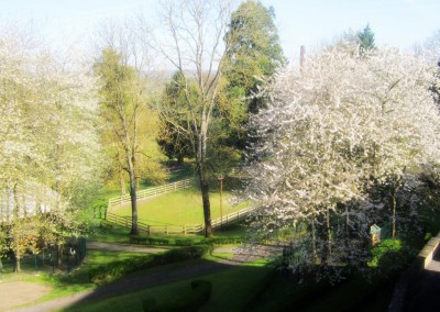 Vue sur le parc du Bol Vert soleil et merisiers en fleurs