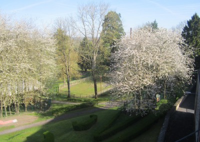 Parc du Bol Vert au Printemps